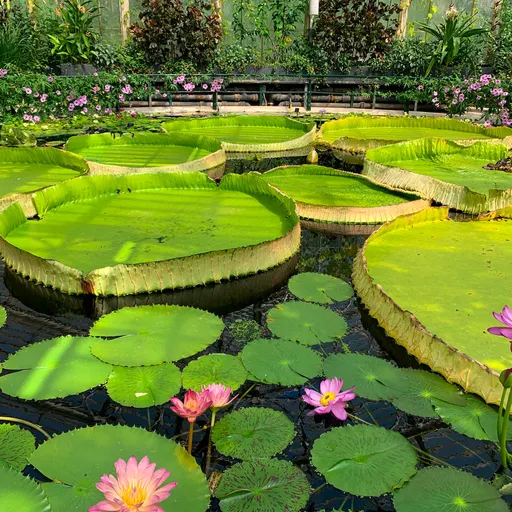 Through My Eyes Process 3