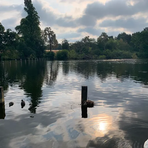 Through My Eyes Process 5