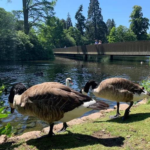 Through My Eyes Process 9