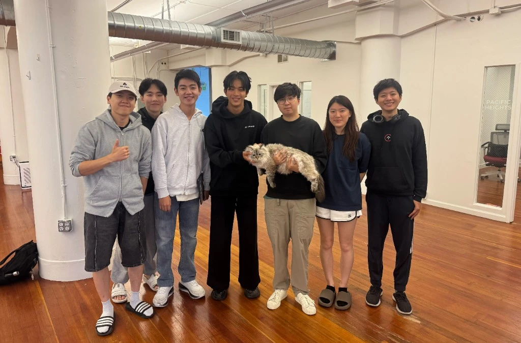 Thirdlayer team