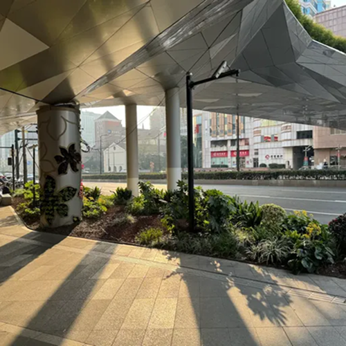 The Great Tree Process 1