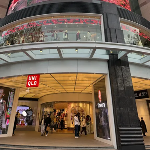 The Great Tree Process 4